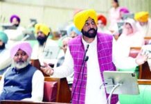 ਭਾਰਤ-ਅਮਰੀਕਾ ਵਪਾਰ ਸਮਝੌਤਾ ਕਿਸਾਨਾਂ ਲਈ ਖ਼ਤਰਨਾਕ : ਭਗਵੰਤ ਮਾਨ