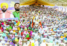 ਵਿਰੋਧੀ ਪਾਰਟੀਆਂ ਹਵਾਈ ਕਿਲ੍ਹੇ ਬਣਾ ਰਹੀਆਂ : ਮਾਨ