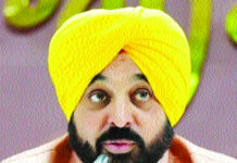 ਅਵਾਰਾ ਕੁੱਤਿਆਂ ਬਾਰੇ ਸੁਪਰੀਮ ਕੋਰਟ ਦੇ ਹੁਕਮਾਂ ਨੂੰ ਇੰਨ-ਬਿੰਨ ਲਾਗੂ ਕਰਾਂਗੇ : ਭਗਵੰਤ ਮਾਨ