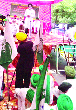 Kisan