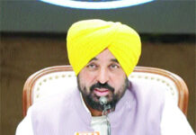 5 ਫੀਸਦੀ ਤੋਂ ਵੱਧ ਵਧਾਈ ਫੀਸ ਵਸੂਲੀ ਜਾਵੇਗੀ : ਮਾਨ
