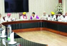 ਇੱਕ ਰੁੱਖ ਵੱਢਿਆ ਤਾਂ 10 ਲਾਉਣੇ ਪੈਣਗੇ