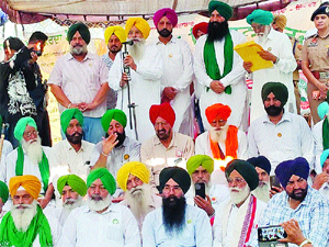 Kisan