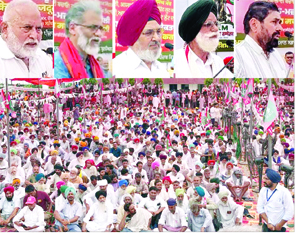 Kisan