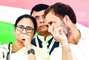 Mamta