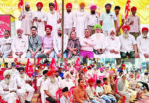 ਗਿਆਨੇਸ਼ ਕੁਮਾਰ ਫੌਰੀ ਅਸਤੀਫਾ ਦੇਵੇ : ਧਾਲੀਵਾਲ