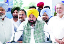 ਝੋਟਾ ਪਰਵਾਰ ਦੀਆਂ ਸਾਰੀਆਂ ਜਾਇਜ਼ ਮੰਗਾਂ ਮੰਨ ਚੁੱਕੇ ਹਾਂ : ਮਾਨ